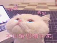盐城市星火广告传媒有限公司