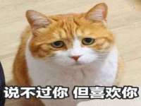 盐城市星火广告传媒有限公司