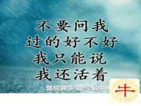 盐城市星火广告传媒有限公司