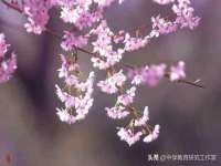 盐城市星火广告传媒有限公司