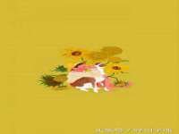 盐城市星火广告传媒有限公司