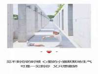 盐城市星火广告传媒有限公司