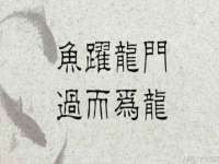 盐城市星火广告传媒有限公司