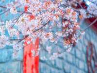 盐城市星火广告传媒有限公司