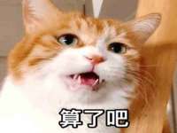 盐城市星火广告传媒有限公司