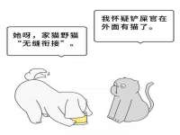 盐城市星火广告传媒有限公司