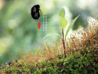 盐城市星火广告传媒有限公司