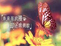 盐城市星火广告传媒有限公司