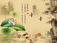 盐城市星火广告传媒有限公司