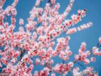盐城市星火广告传媒有限公司