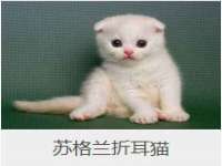 盐城市星火广告传媒有限公司