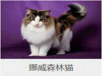 盐城市星火广告传媒有限公司