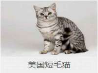 盐城市星火广告传媒有限公司