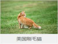 盐城市星火广告传媒有限公司