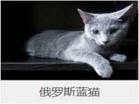 盐城市星火广告传媒有限公司