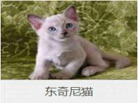 盐城市星火广告传媒有限公司