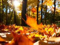 盐城市星火广告传媒有限公司