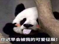 盐城市星火广告传媒有限公司