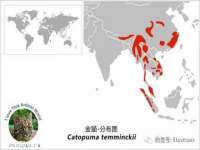 盐城市星火广告传媒有限公司