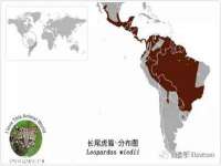 盐城市星火广告传媒有限公司