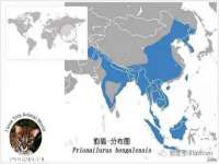 盐城市星火广告传媒有限公司