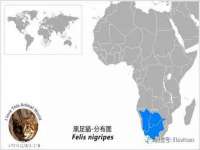 盐城市星火广告传媒有限公司