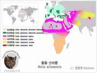 盐城市星火广告传媒有限公司