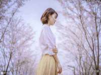 盐城市星火广告传媒有限公司
