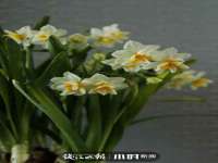 盐城市星火广告传媒有限公司