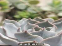 盐城市星火广告传媒有限公司