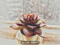 盐城市星火广告传媒有限公司
