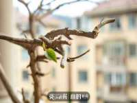 盐城市星火广告传媒有限公司