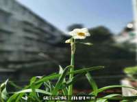 盐城市星火广告传媒有限公司
