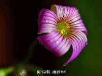 盐城市星火广告传媒有限公司