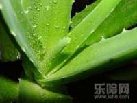 盐城市星火广告传媒有限公司