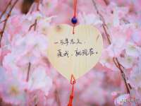 盐城市星火广告传媒有限公司