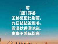盐城市星火广告传媒有限公司