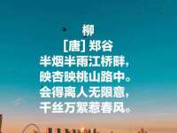 盐城市星火广告传媒有限公司