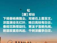 盐城市星火广告传媒有限公司