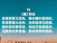 盐城市星火广告传媒有限公司
