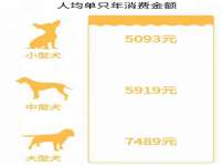 盐城市星火广告传媒有限公司