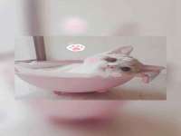 盐城市星火广告传媒有限公司