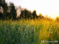 盐城市星火广告传媒有限公司