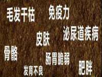 盐城市星火广告传媒有限公司
