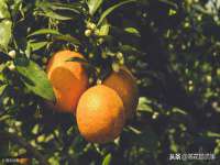 盐城市星火广告传媒有限公司