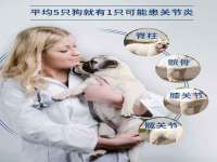 盐城市星火广告传媒有限公司