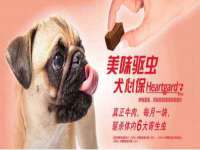盐城市星火广告传媒有限公司