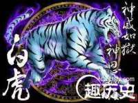 盐城市星火广告传媒有限公司