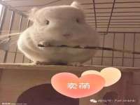 盐城市星火广告传媒有限公司