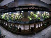 盐城市星火广告传媒有限公司